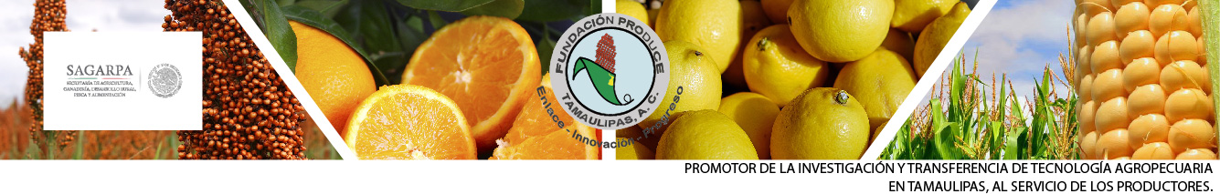 Fundacion Produce Tamaulipas AC